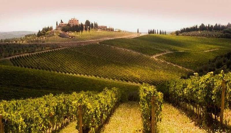 Villa Montarioso Siena Eksteriør bilde